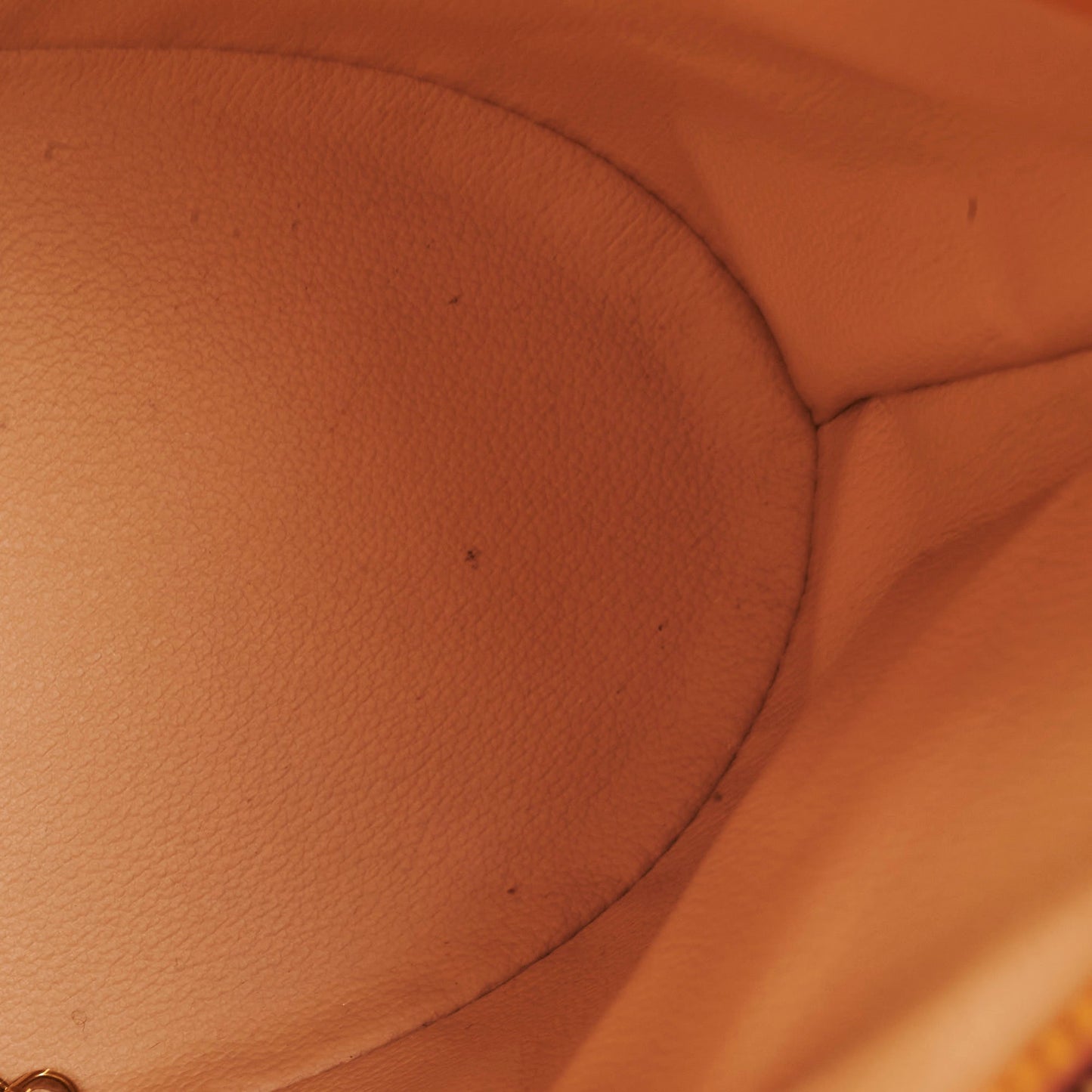 Louis Vuitton Monogram Bucket Bag
