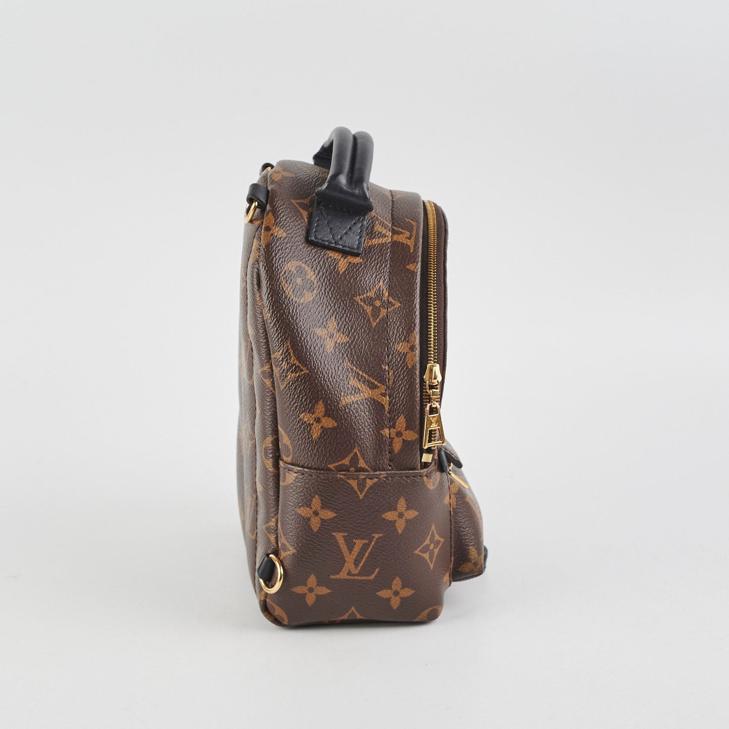 Louis Vuitton Palm Springs Monogram Mini Backpack