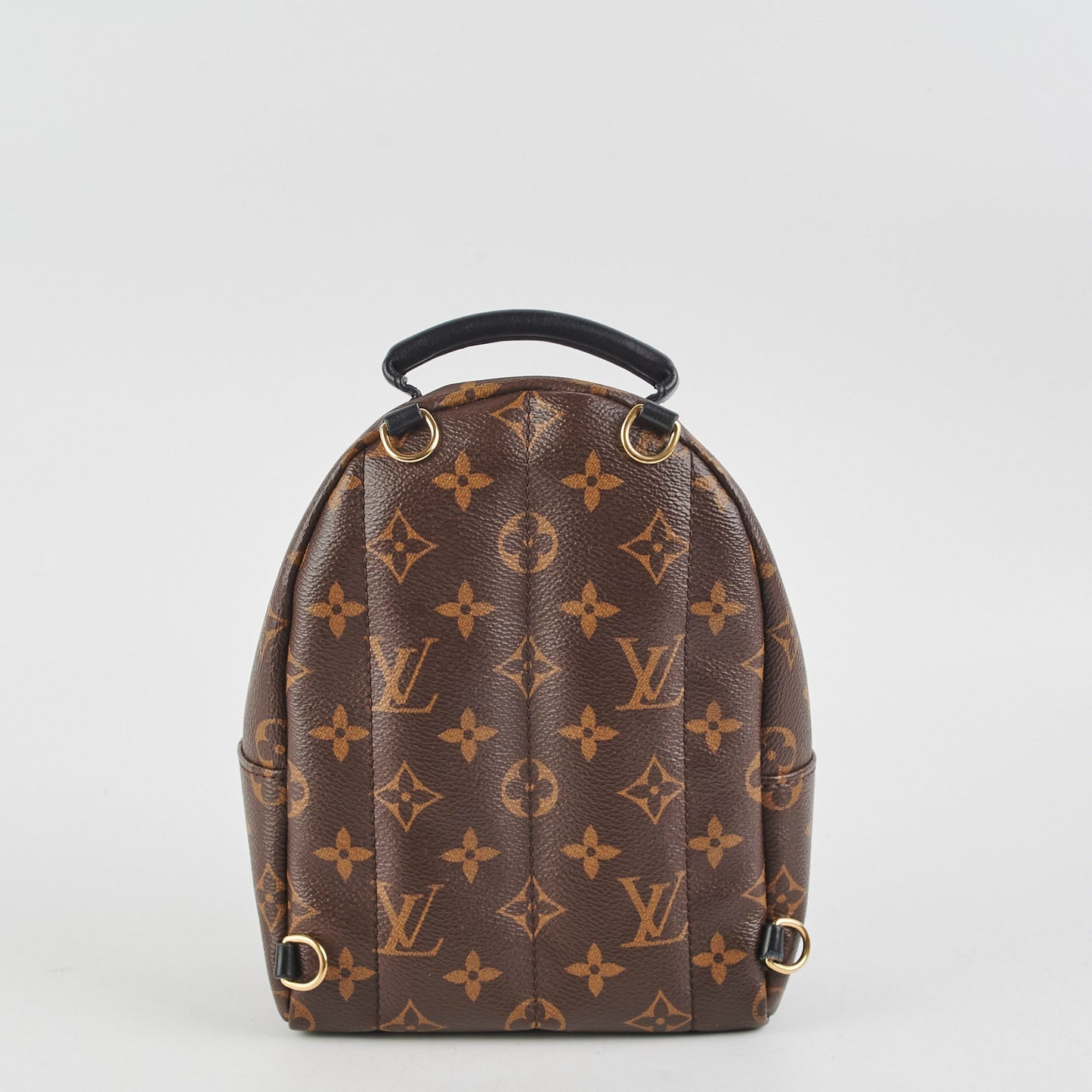 Louis Vuitton Palm Springs Monogram Mini Backpack