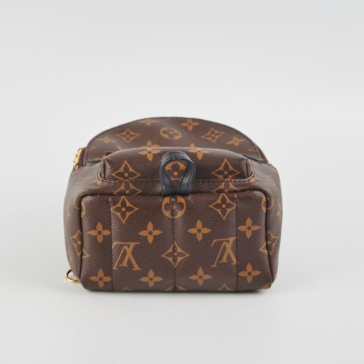 Louis Vuitton Palm Springs Monogram Mini Backpack