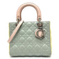 Dior Handbag leather blue x yellow x pink Canage Lady Dior Women
