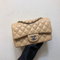 Chanel Luxury Handbag Style 187