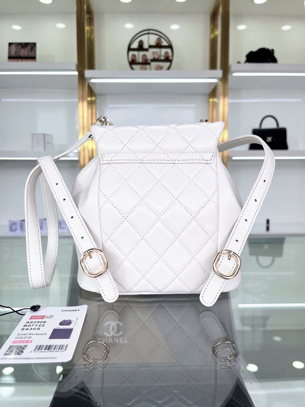Chanel Luxury Handbag Style 166