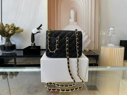 Chanel Luxury Handbag Style 451