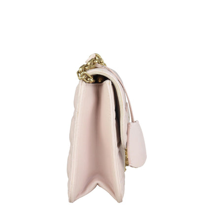 Dior Dioraddict Medium Flap Bag