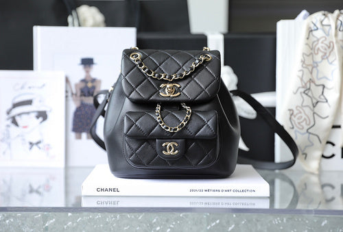 Chanel Luxury Handbag Style 384
