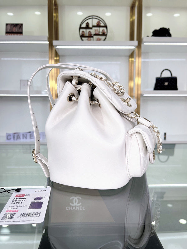 Chanel Luxury Handbag Style 166
