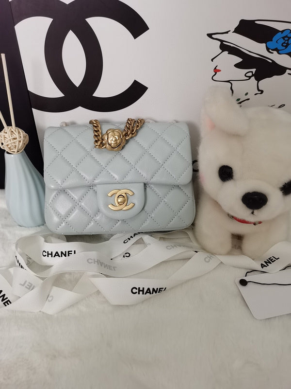 Chanel Luxury Handbag Style 102