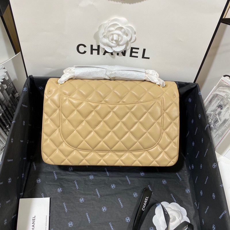 Chanel Luxury Handbag Style 317