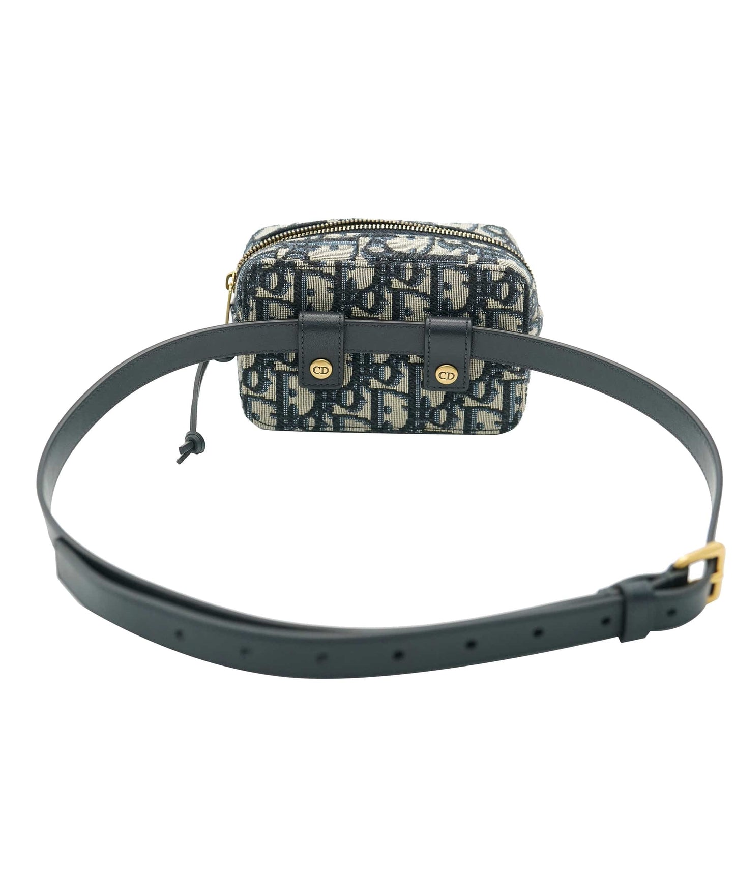 Dior Lou Chain Leather Clutch Bag