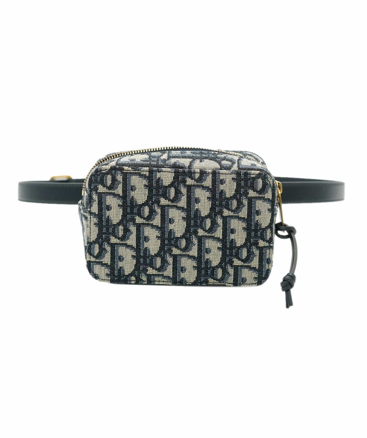 Dior Lou Chain Leather Clutch Bag