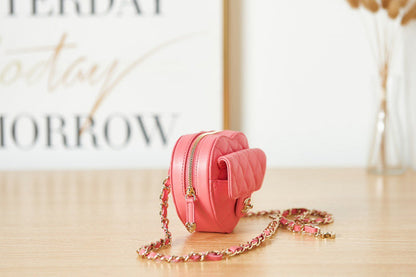 Chanel Luxury Handbag Style 445