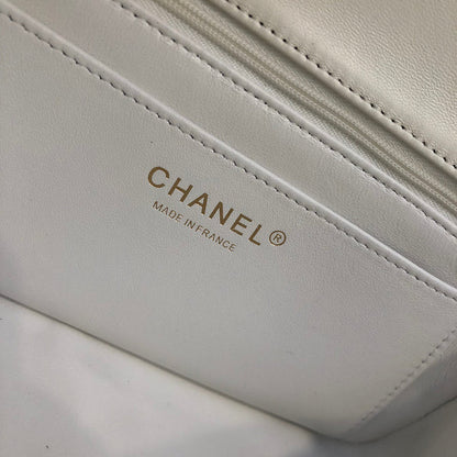 Chanel Luxury Handbag Style 558