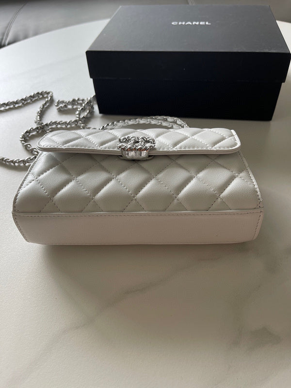 Chanel Luxury Handbag Style 243