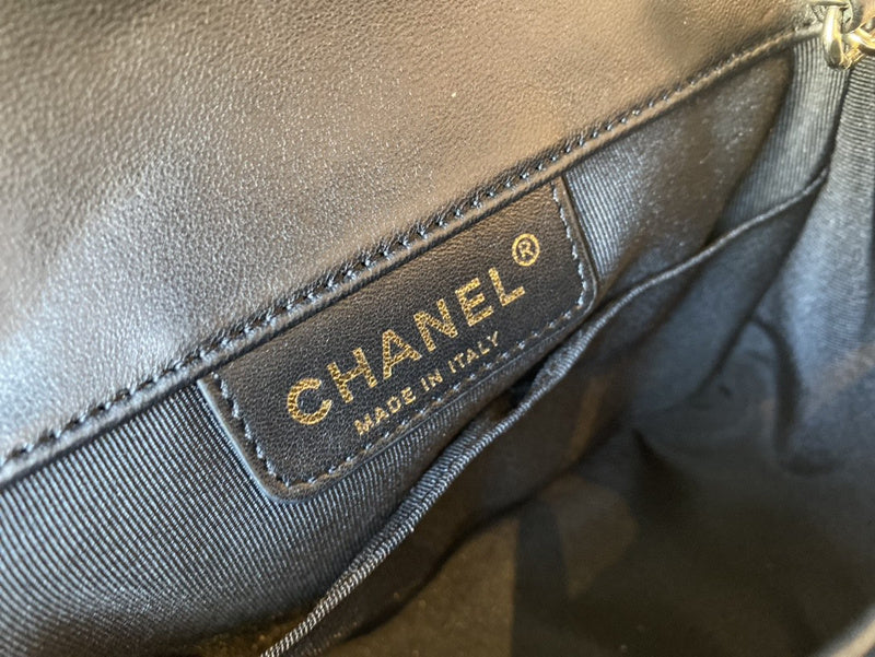Chanel Luxury Handbag Style 495