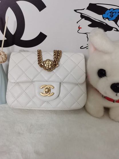 Chanel Luxury Handbag Style 109