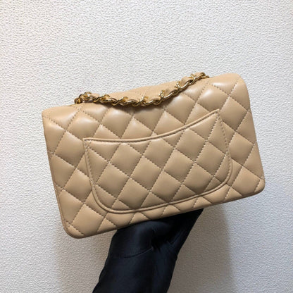 Chanel Luxury Handbag Style 176