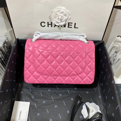 Chanel Luxury Handbag Style 240