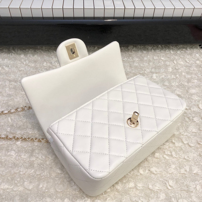 Chanel Luxury Handbag Style 558