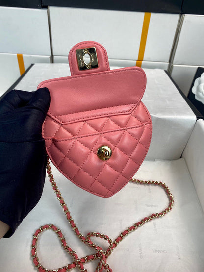 Chanel Luxury Handbag Style 224