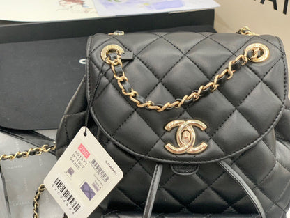 Chanel Luxury Handbag Style 118