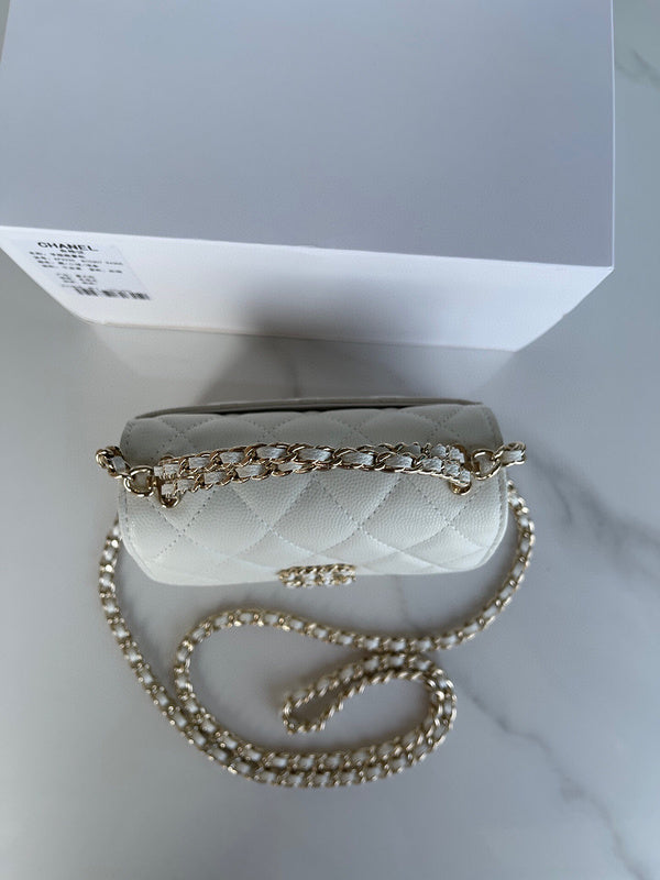 Chanel Luxury Handbag Style 113