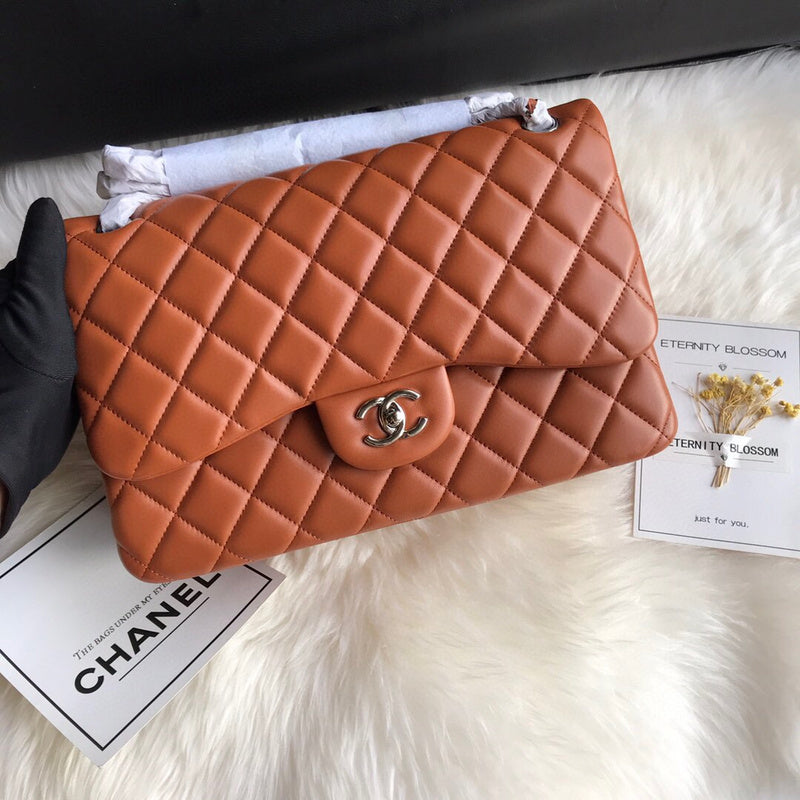 Chanel Luxury Handbag Style 179