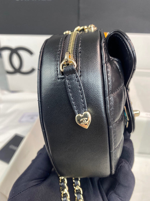 Chanel Luxury Handbag Style 204