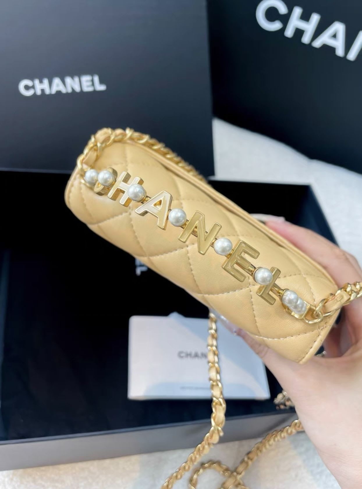 Chanel Luxury Leather Handbag Style 10