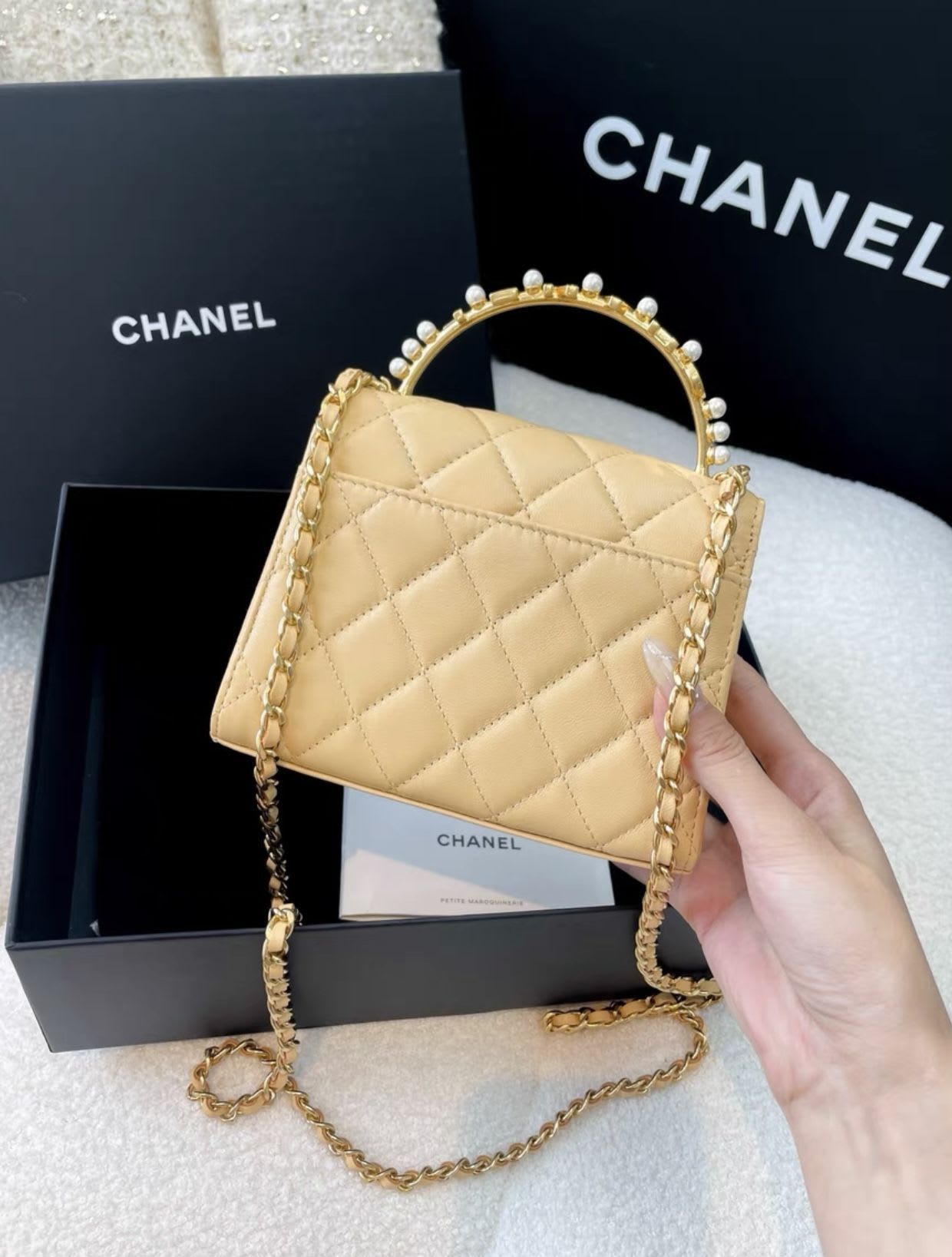 Chanel Luxury Leather Handbag Style 10
