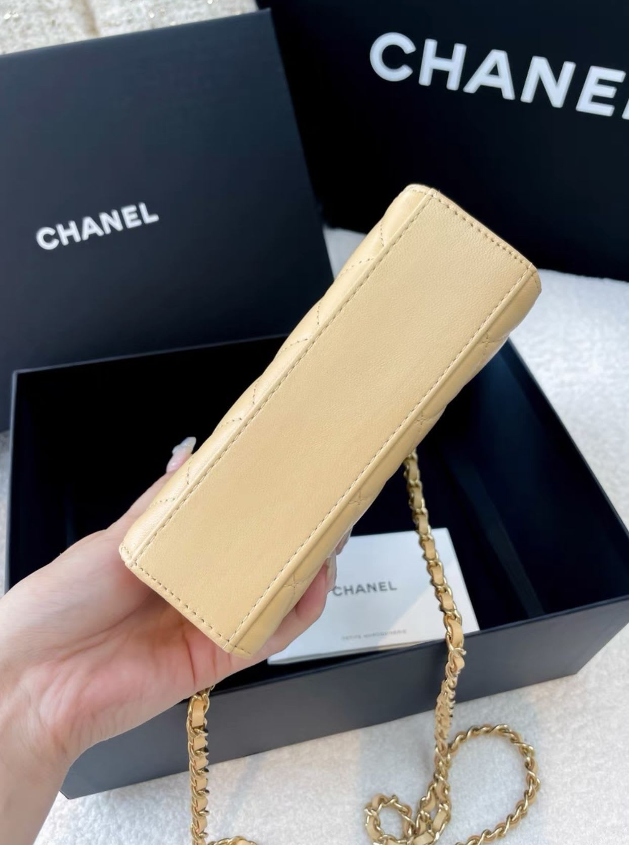 Chanel Luxury Leather Handbag Style 10