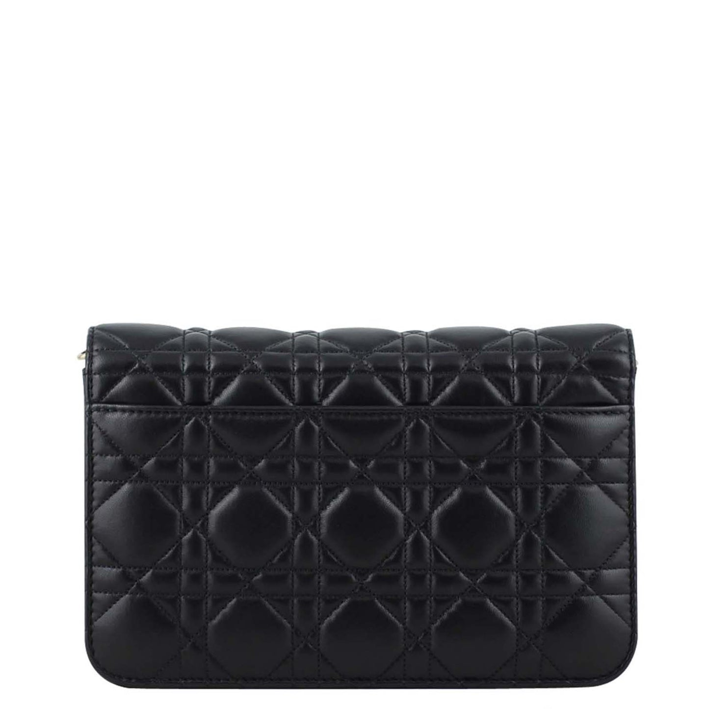 Dior Luxury Leather Clutch