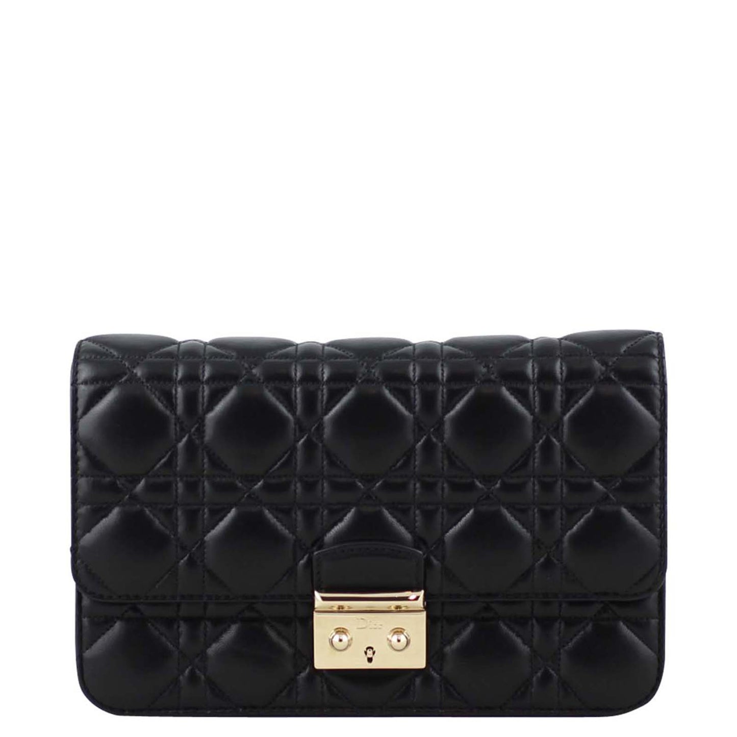 Dior Luxury Leather Clutch