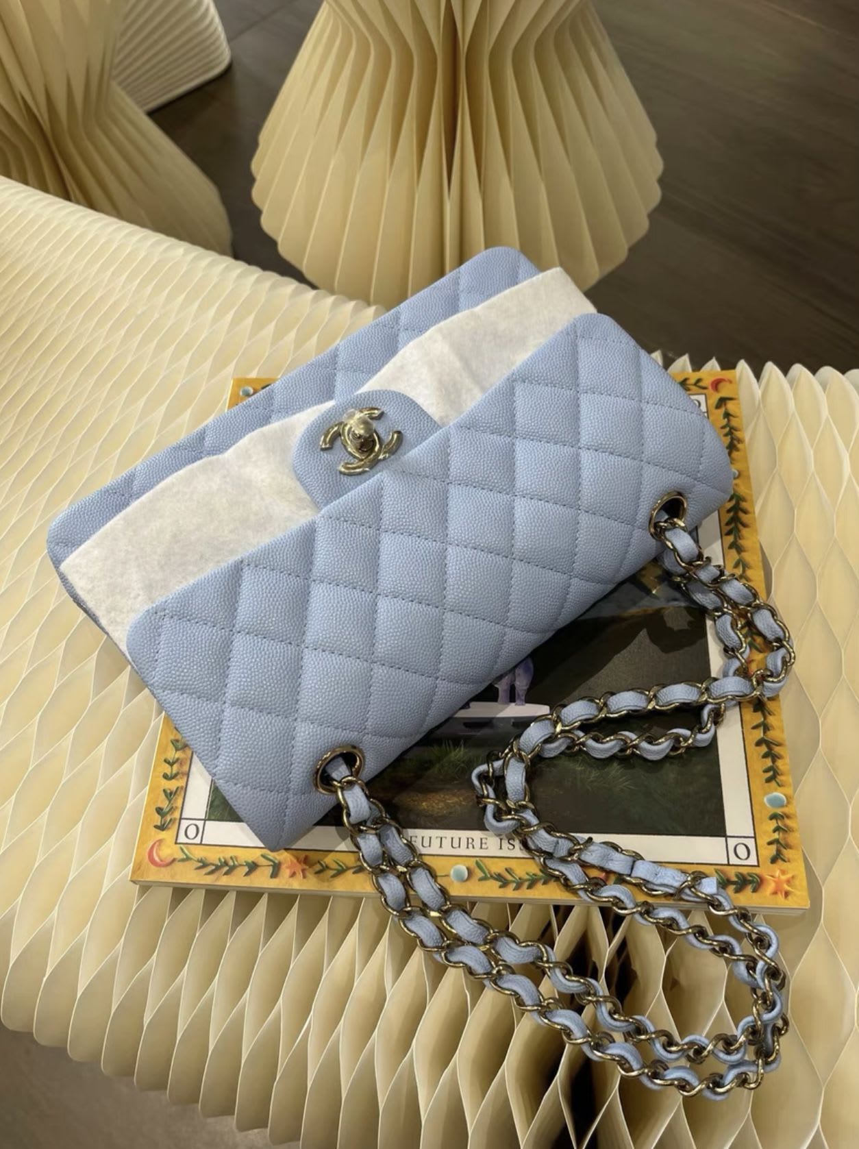 Chanel Luxury Leather Blue Handbag Leather