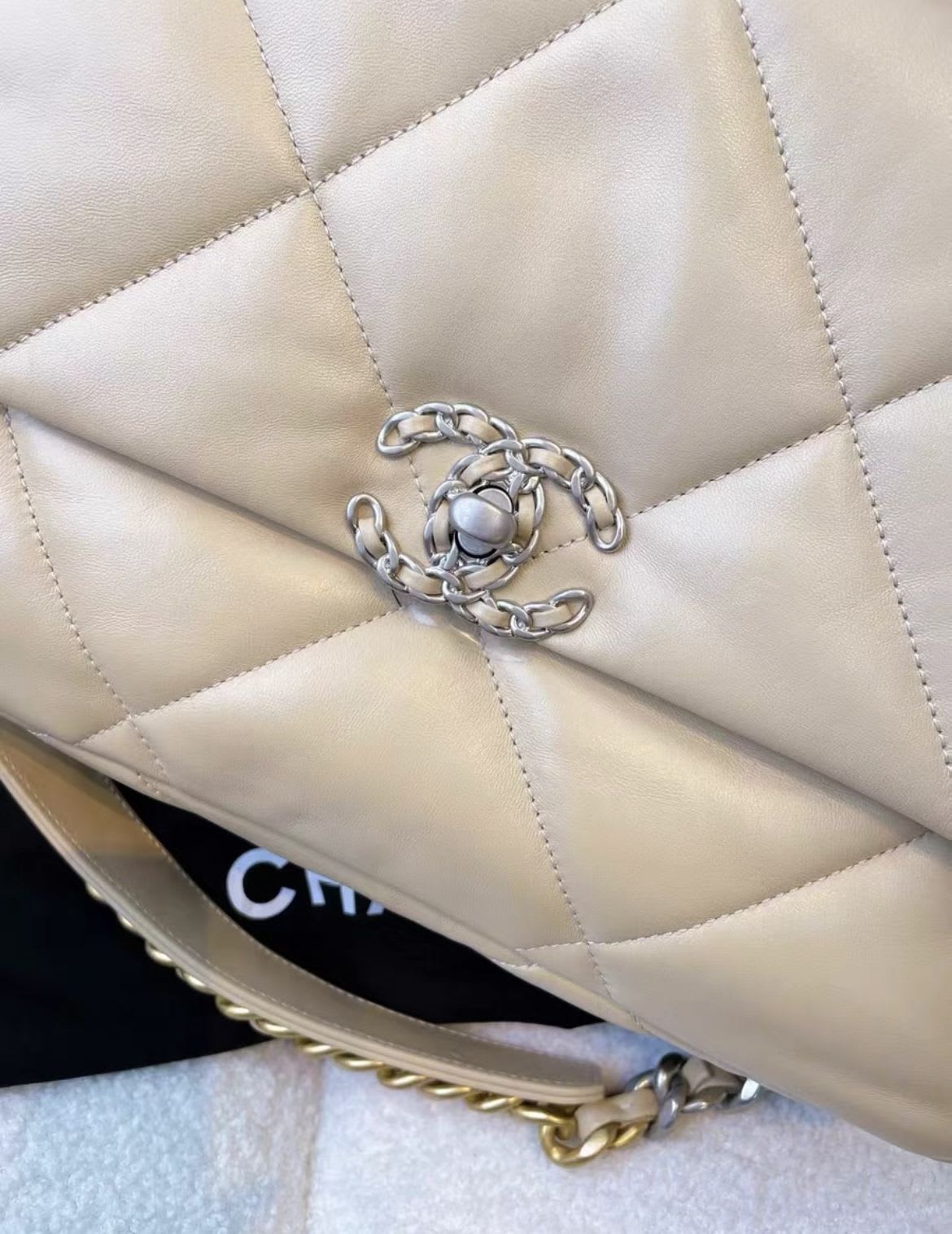 Chanel Beige Silver Medium 19Bag