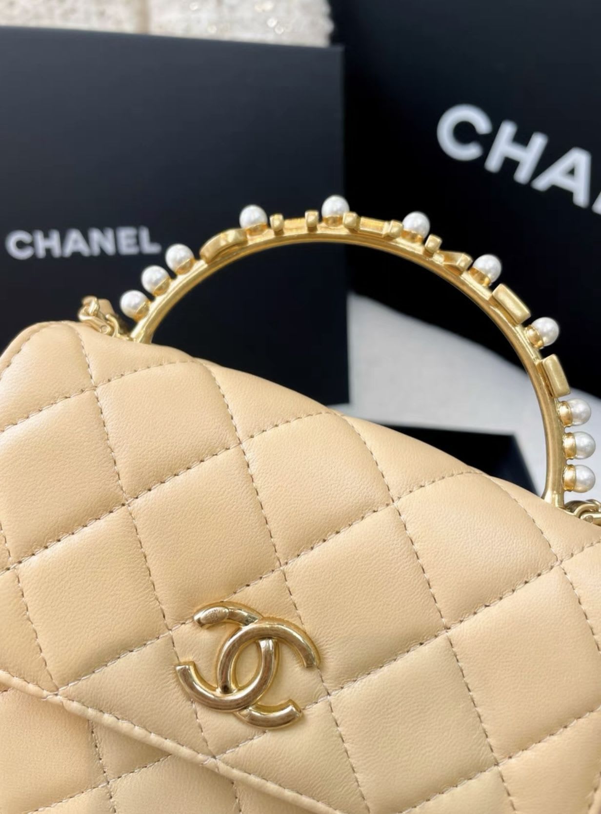 Chanel Luxury Leather Handbag Style 10