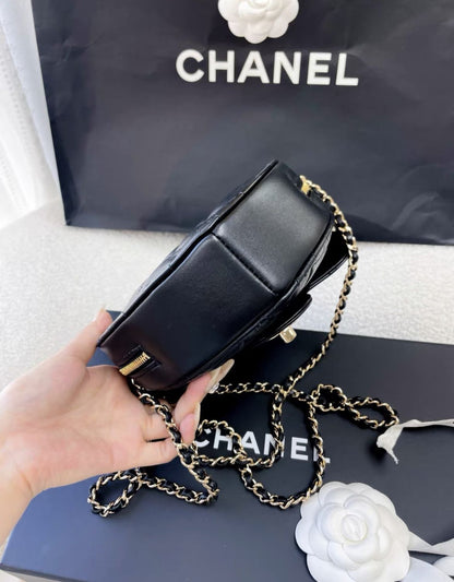 Chanel Luxury Leather Black Handbag Style 16
