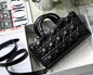 D I O R - Lady D-Joy (Black) 26 x 13cm