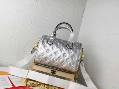 Lv silver 22.0 x 13.0 x 17.0 cm