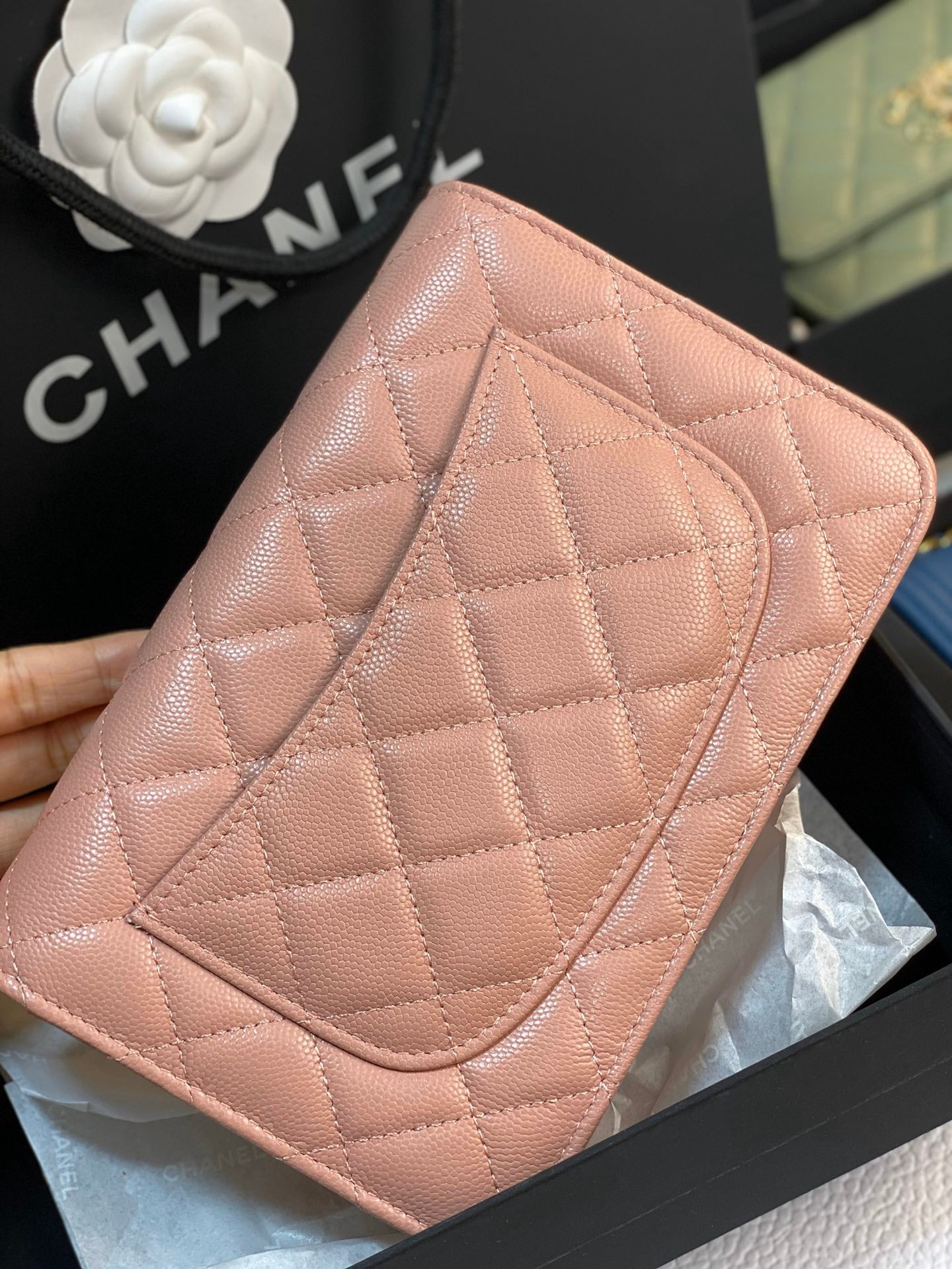 C h a n e l 15cm