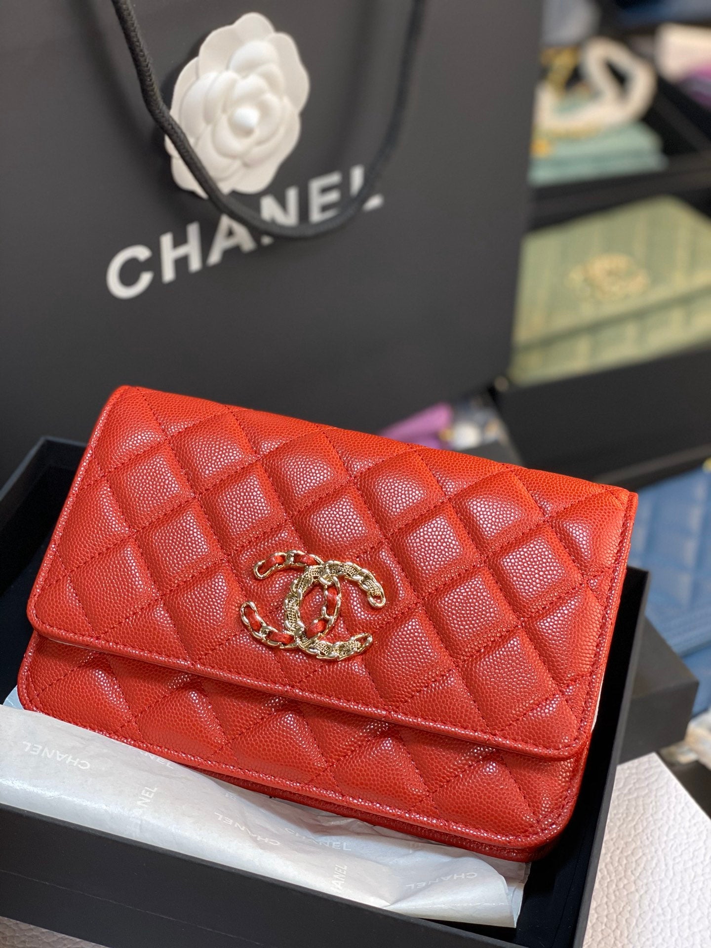 C h a n e l 15cm
