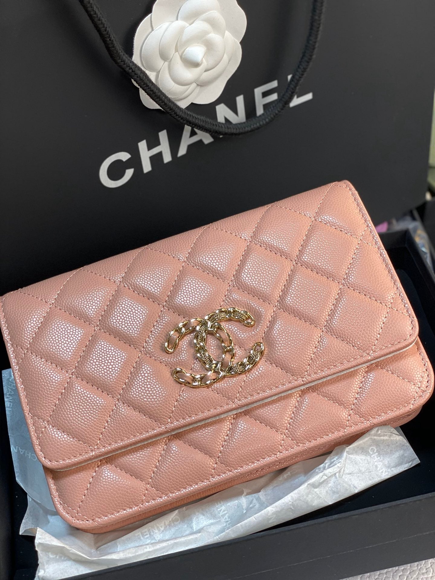 C h a n e l 15cm